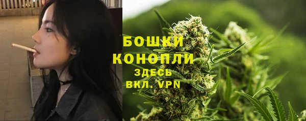 дурь Арсеньев
