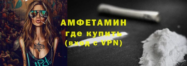 сатива Инта