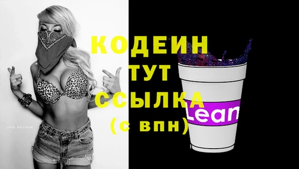 дурь Арсеньев