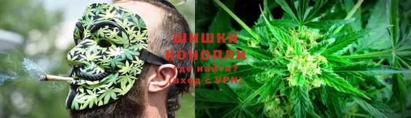 дурь Арсеньев